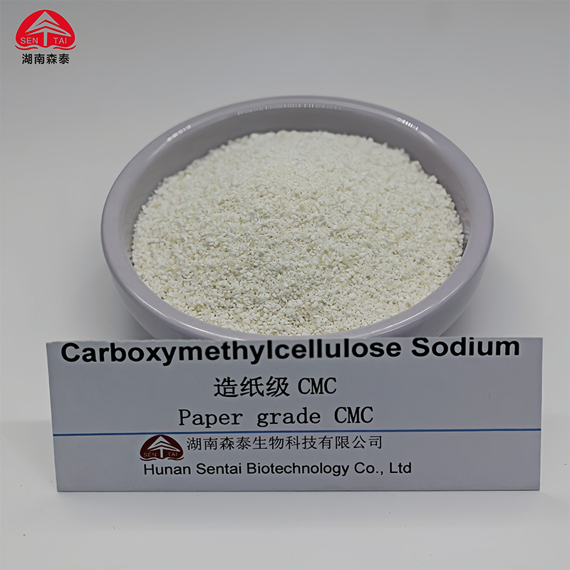 app12_0005_cmc for paper coating